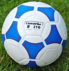 Lionstrike Leather Soccer Ball Size 3