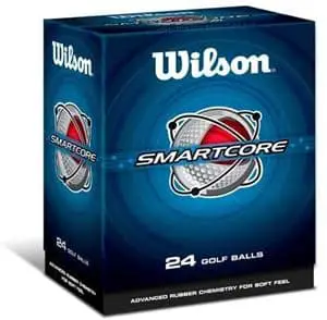 Wilson Smart-Core Straight Distance Double Dozen Golf Balls