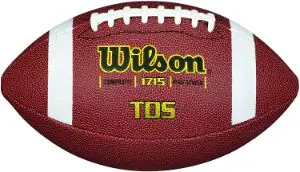 Wilson Composite Football